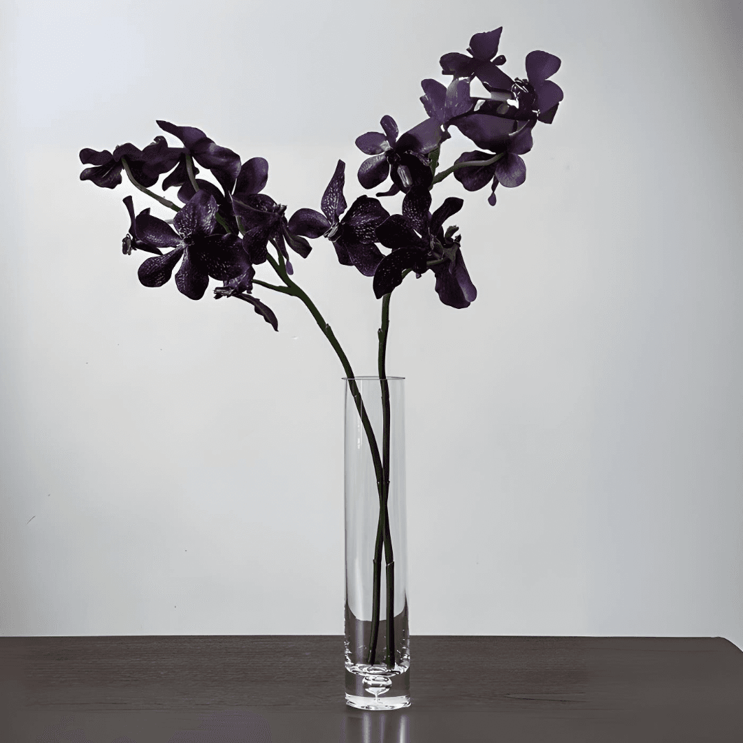 Orquidea Vanda miniatura 4
