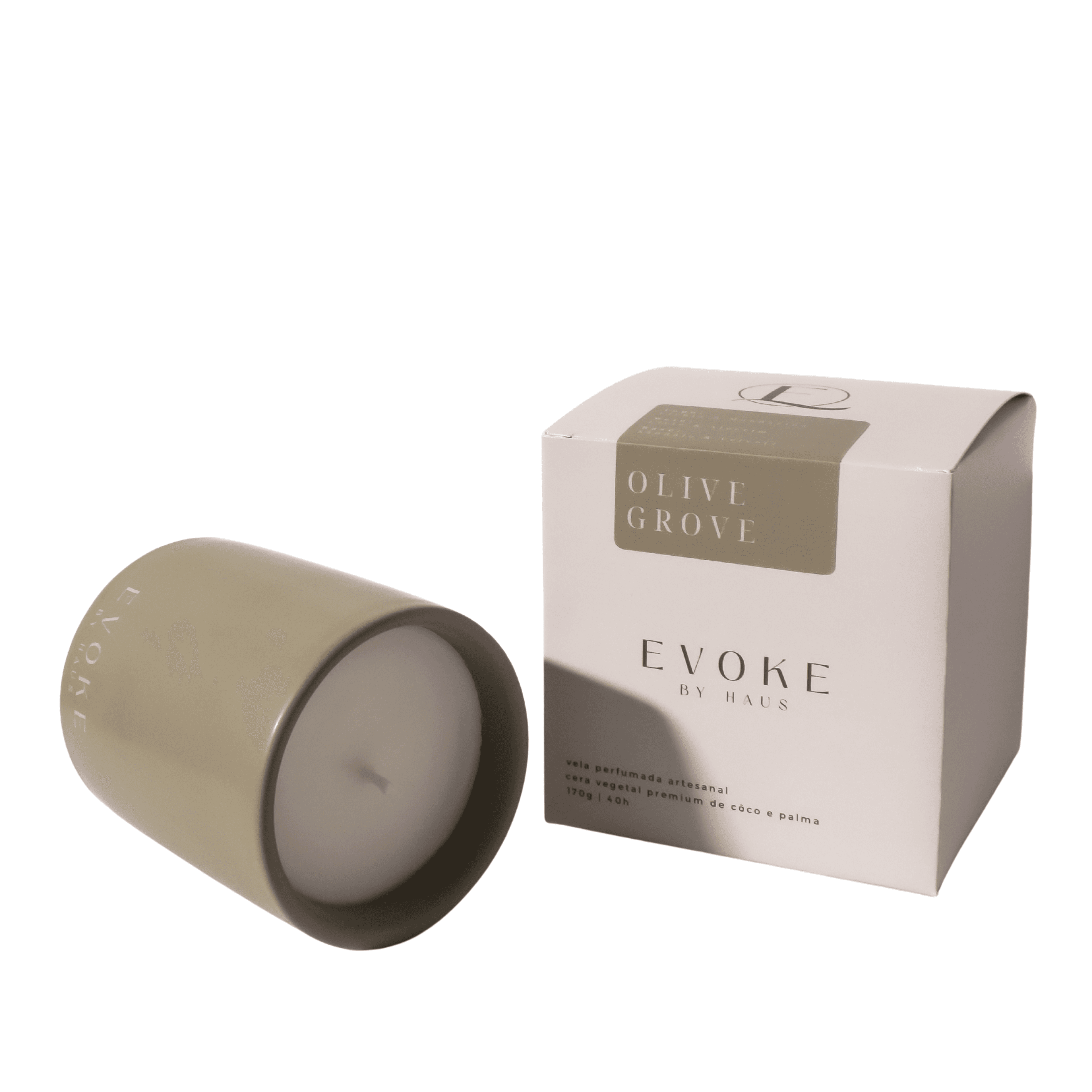 Olive Grove