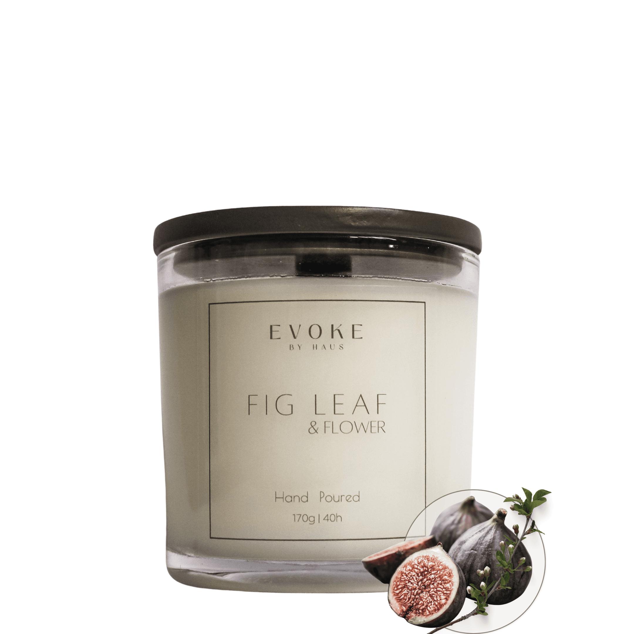 Fig Leaf & Flower